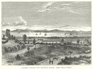 Picardy Village og Gayfield House (gravering) av English School