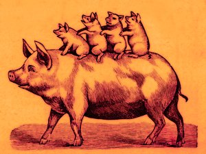 Gris med smågrisene sine, illustrasjon fra Coles Funny Picture Book (digitalt forbedret bilde) av English School