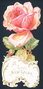 Rosa rose, nyttårskort av English School