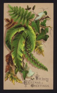 Planteblader, julehilsenkort, sent på 1800-tallet eller tidlig på 1900-tallet (kromolitho) av English School