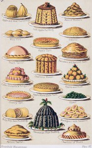 Plate VIII fra 
