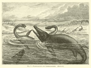 Plesiosaurus og Ichthyosaurus av English School