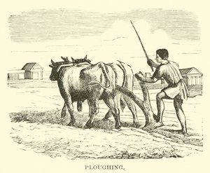 Pløying av English School
