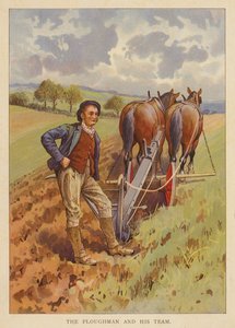 Ploughman og teamet hans (farge litho) av English School