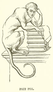 Poet Pug av English School
