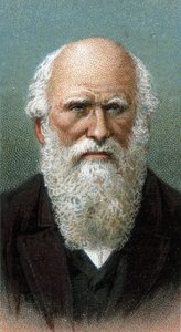 Portrett av Charles Robert Darwin (1809-1882) - Fra serien "" Leaders of Men"" - Chromolithography - English School, 20. århundre - av English School
