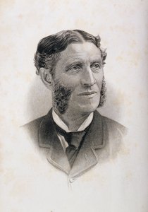 Portrett av Matthew Arnold (1822-88), av English School