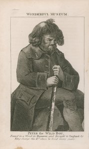 Portrett av Peter villgutten av English School