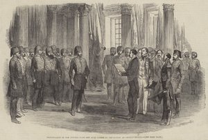 Presentasjon av adressen fra den irske nasjonen til sultanen i Konstantinopel (gravering) av English School