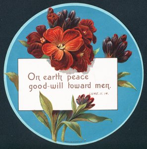 Primroser, julekort (chromolitho) av English School