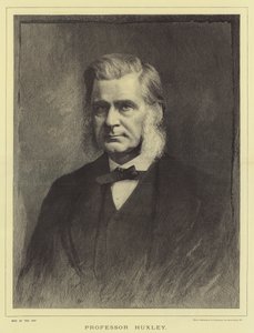 Professor Huxley (gravering) av English School
