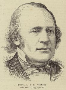 Professor LJR Agassiz (gravering) av English School