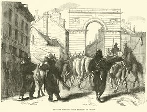 Den prøyssiske forsøkende tropp som henter inn storfe, oktober 1870 av English School