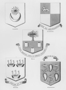 Offentlige våpen: Ilchester; Altringham; brønner; Wexford; Musselburgh (gravering) av English School