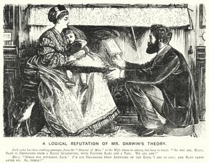 Punch tegneserie: A Logical Refutation of Mr Darwin's Theory (gravering) av English School