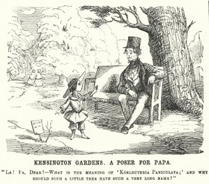 Punch tegneserie: barn stiller faren et spørsmål i Kensington Gardens, London (gravering) av English School