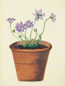 Lilla blomster i en terrakottakrukke, ca. 1825 (wc på papir)