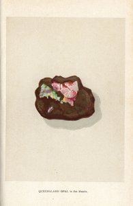 Queensland-opal i matrisen, fra Edwin Streeters "Precious Stones and Gems," London, George Bell & Sons av English School