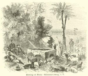 Restering at Noon, Solomons Song, i, 7 av English School