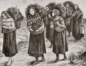 Return from the Shieling, Hebridene i ca. 1880, fra 