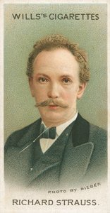 Richard Strauss av English School