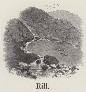 Rill (gravering) av English School