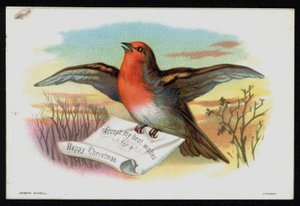 Robin med julemelding, gratulasjonskort. (chromolitho) av English School