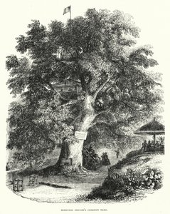 Robinson Crusoes kastanjetre (gravering) av English School