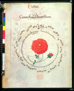 Roy II E XI f.2v Canon, med sirkulære staver og rose i midten, fra motetter av Richard Sampson (vellum) av English School