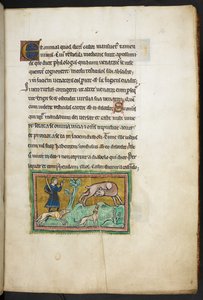 Royal 12 F.XIII, f.14 En ulv (?) med blod som kommer ut av munnen, og en jeger med hunder, fra Rochester Bestiary, 2. kvartal av 1200-tallet av English School