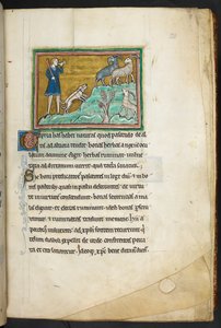 Kongelig 12 F.XIII, f.20 En jeger eller bonde med hunder som forfølger geiter.  Bestiary (ff. 3-141), Lapidary (ff. 141v-149)  2. kvartal av 1200-tallet av English School