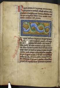 Royal MS 12 C XIX, f.63v Anguis, fra 