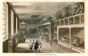 Royal Menagerie, Exeter Change, Strand (farget gravering) av English School