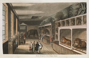 Royal menagerie, Exeter (Change Exchange), Strand. Velg utsikt over London: med historiske og beskrivende skisser av noen av de mest interessante av de offentlige bygningene / satt sammen og arrangert av J.B. Papworth. John Buonarotti Papworth, London av English School