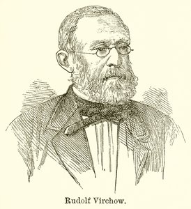 Rudolf Virchow av English School