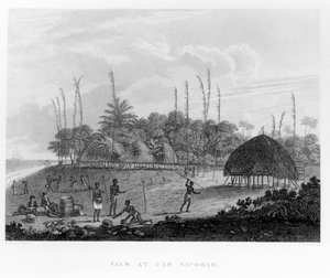 Sjømenn som samler proviant på Car Nicobar, fra reiser og reiser til India, Ceylon, Rødehavet... av George, Viscount Valentia, publisert 1809 av English School