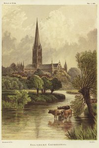 Salisbury katedral i Salisbury av English School