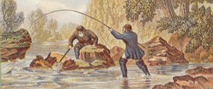Laksefiske (farge litho) av English School
