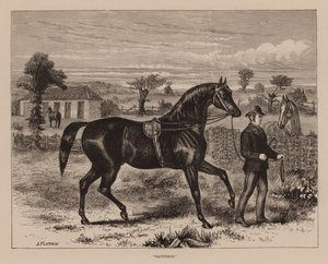 quot;Sauntererquot; (gravering) av English School