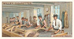 Søk i tabeller (chromolitho) av English School