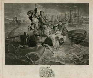 Hai angrep av English School