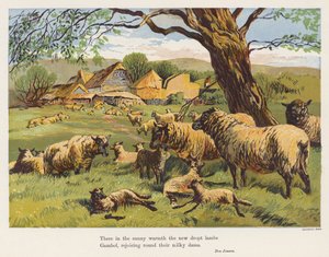 Sauer og lam (fargelitografi) av English School
