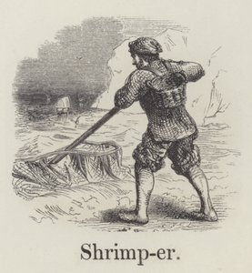 Shrimper (gravering) av English School
