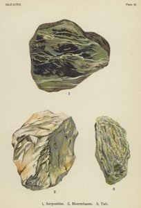 Silikater, serpentin, merskum, talkum (farget litografi) av English School