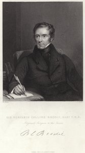 Sir Benjamin Collins Brodie von English School