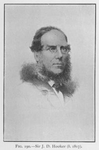 Sir Joseph Dalton Hooker (1817-1911), portrett (litho) av English School