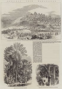Skisser fra Madagaskar (gravering) av English School