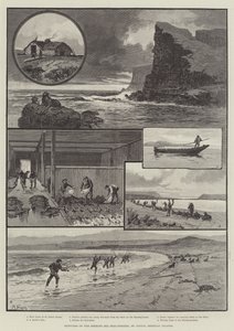 Skisser av selfiske i Beringhavet, St Paul