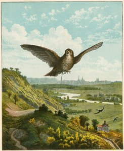 Skylærke av English School