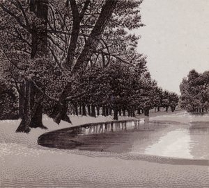 Sophia Gardens, Cardiff (litho) av English School